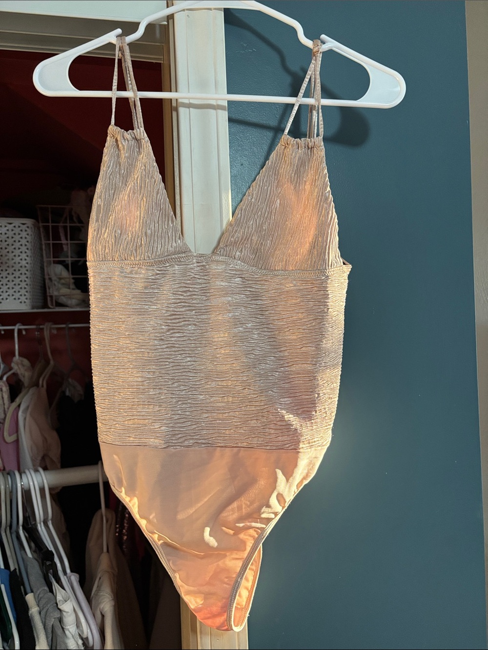 Urban Outfitters Blush Textured V-Neck Bodysuit